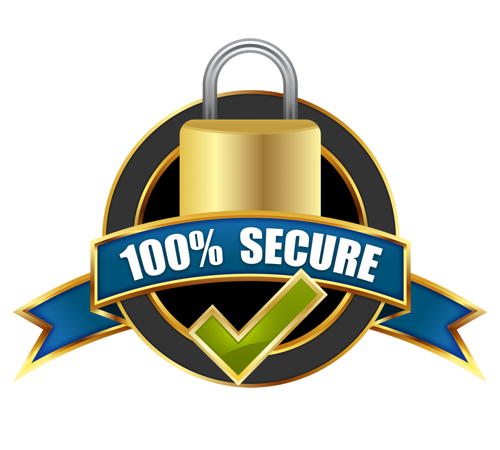secure online payments 100% secure online payments